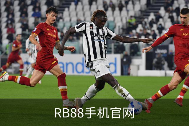 RB88手机官网平台介绍展示图